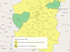 В Воронежской области вновь объявили жёлтый уровень погодной опасности