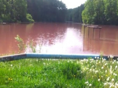 В поселке Грибановский вода в пруду приобрела кроваво-красный цвет