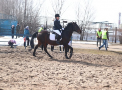 40 спортсменов приняли участие в Первенстве Борисоглебского городского округа по конному спорту