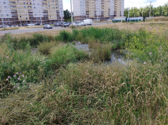 «Родина» добилась ликвидации зловонного болота во дворе новостроек в Борисоглебске