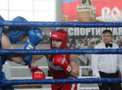 В Борисоглебске прошли соревнования по боксу в зачет областной Спартакиады