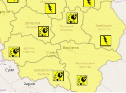 Желтый уровень опасности объявили в Воронежской области в День России
