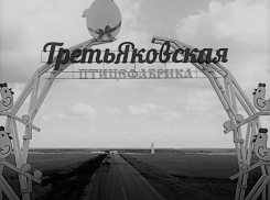 Об «экологической катастрофе» предупредили  депутатов и общественность Борисоглебска
