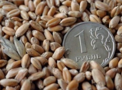 Аграрии Воронежской области получат в 2019 году финансовую поддержку в размере 7,5 млрд. рублей