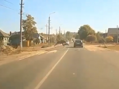 Лося, перебегающего одну из основных улиц в Борисоглебске, сняли на видео 
