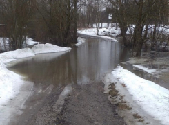Низководный мост, 59 приусадебных участков и 2 жилых дома затопило в Воронежской области
