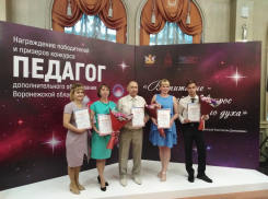  Борисоглебские, грибановские и новохоперские педагоги стали  призерами конкурса «Педагог дополнительного образования Воронежской области».