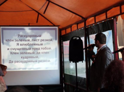 В День Победы для борисоглебцев организуют «Народное караоке» 