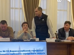 Сложить полномочия и перейти в «Единую Россию» предложили зампреду Борисоглебской гордумы