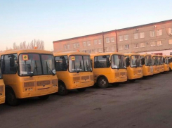 Новые, блестящие: школьный автопарк обновили в Воронежской области 