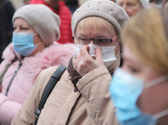 Ученые Воронежского медуниверситета дали прогноз развития эпидемии коронавируса в регионе
