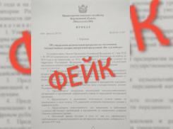 В Воронежской области начали распространять фейк об изъятии урожая