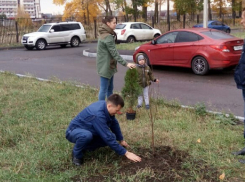 Борисоглебские военнослужащие присоединились к озеленению города
