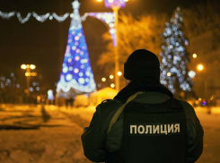 Новогодние праздники в Воронежской области будут проходить под усиленной охраной