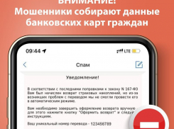 О мошеннической рассылке предупредил жителей Воронежской области Пенсионный Фонд