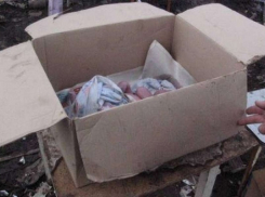 Ненужные дети. Почему матери избавляются от новорождённых