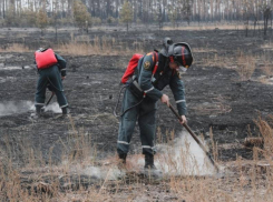 Спасатели потушили все крупные пожары в Воронежской области