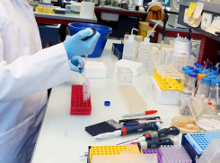 Еще один человек умер от COVID-19 и 24 заразились за сутки в Воронежской области