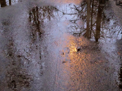 Конец января в Воронежской области будет тёплым и дождливым