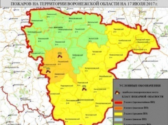 Воронежские спасатели предупредили о высокой степени пожарной опасности
