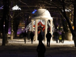 Праздник к нам приходит: в центральном сквере Борисоглебска приступили к монтажу новогодней иллюминации