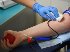 Борисоглебцев приглашают стать донорами