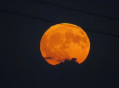 «Клубничную» луну наблюдали жители Воронежской области на минувших выходных