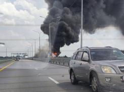 Случай с погибшим водителем « Wildberries» расследует трудинспекция Воронежской области 
