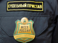 Более 8,5 млрд рублей взыскали за год судебные приставы Воронежской области