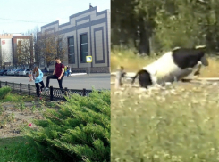 Борисоглебцы продолжают нарушать ПДД и вытаптывать газон, перепрыгивая препятствия