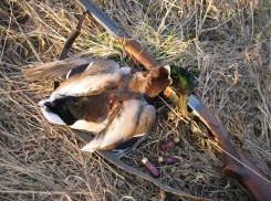 В Воронежской области изменили правила охоты на пернатых