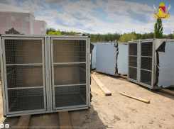 В Воронеже начали строить приют, который в Борисоглебске строить никто не собирается