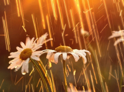 Борисоглебцев на текущей неделе ожидает тропическая погода