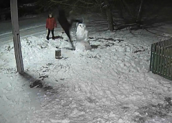 Гринча, который ломает снеговиков, сняли на видео в селе Пески