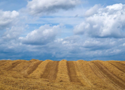 «Ростелеком» разработал новую методику автоматизированного дешифрирования и сравнения контуров пахотных земель