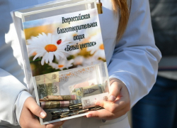 Полмиллиона рублей передали в копилку  акции "Белый цветок" жители Борисоглебска