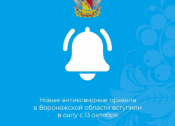 «Цирком» назвали непоследовательные решения властей  жители Воронежской области 