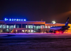 У Воронежского аэропорта хотят отобрать имя Петра I