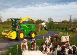 Воронежстат оценил количество сельхозпродукции произведенной в регионе за минувший год