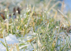 В Воронежской области ожидается потепление до +12