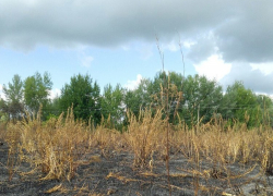 В Борисоглебске поджигатель чуть было не уничтожил еще не построенный «Князь-град».