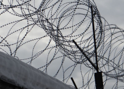 Число заключенных в Воронежской области за год стало меньше на 4,3%