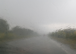 Похолодание и дожди пообещали борисоглебцам в начале новой рабочей недели 