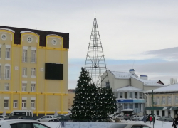 Борисоглебцы проголосовали за отмену новогодних гуляний