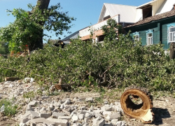 В Борисоглебске продолжается спиливание аварийных деревьев