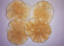 В Борисоглебске снова «порыжела» вода