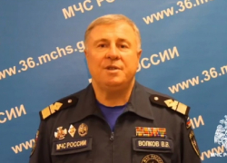 В МЧС обратились к жителям Воронежской области после гибели ребёнка на реке