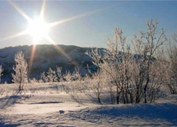 Крещенских морозов в этом году в Воронежской области не будет?