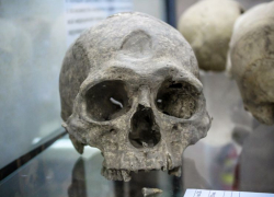 Останки древнего поселения под Борисоглебском внесли в единый реестр объектов культурного наследия народов РФ