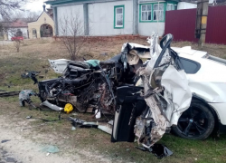 В Новохоперском районе молодой парень погиб в столкновении автомобиля с деревом